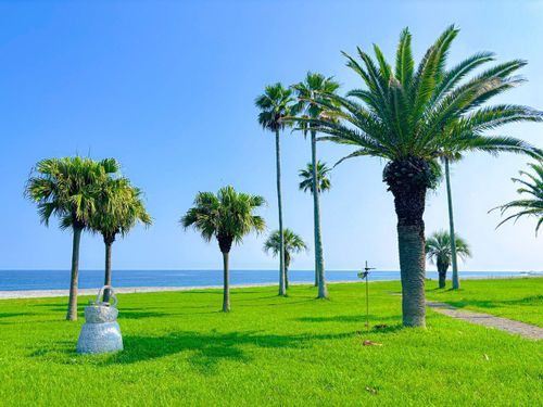歩いてすぐの海の公園でリフレッシュも