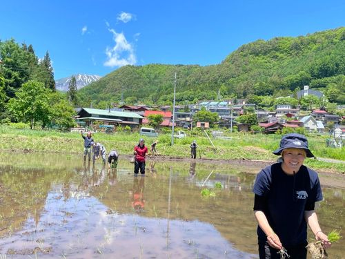 快晴の手植えな田植え