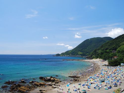 夏の河津も魅力的