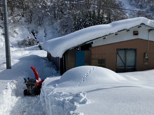 豪雪地帯で冬の楽しみを見つけよう