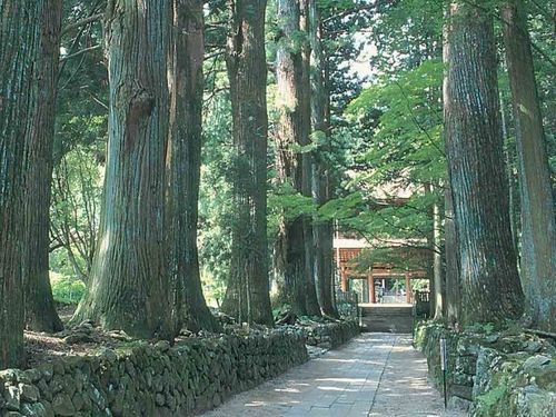 光前寺参道