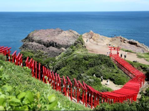 日常的にこのような風景を見ているのだそうです