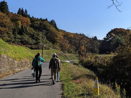 町内を歩いてみると歴史や植物、いろんな発見があります