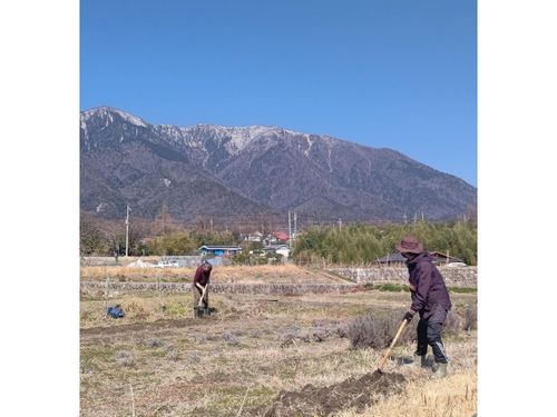 比良山系の麓で農作業をしている様子