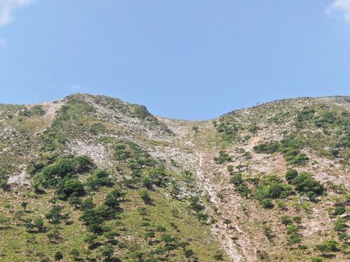 荒廃した伊吹山山頂付近