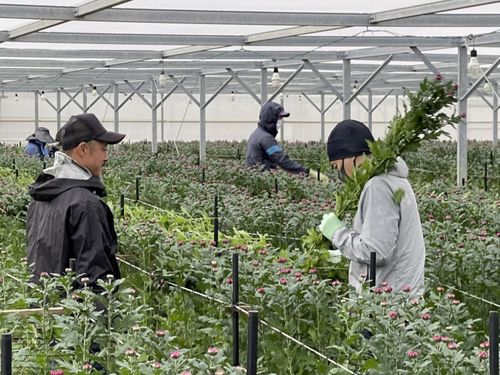 島の主産業“農業”を体験。暮らしと仕事のイメージをふくらませて