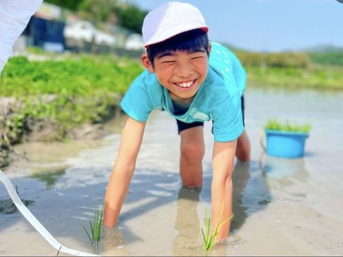 田植え体験の撮影