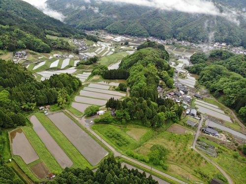 能座の棚田