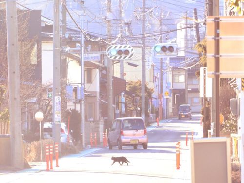 私が見つけた「岡谷市の魅力」は「日常の風景」。　ね？できそうでしょう？