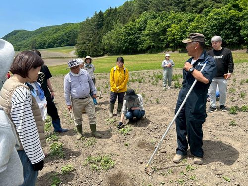 瀬川さんのハッカ畑で雑草抜きを体験。手作業の除草を身体で知る時間