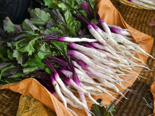 日野町が原産地の日野菜