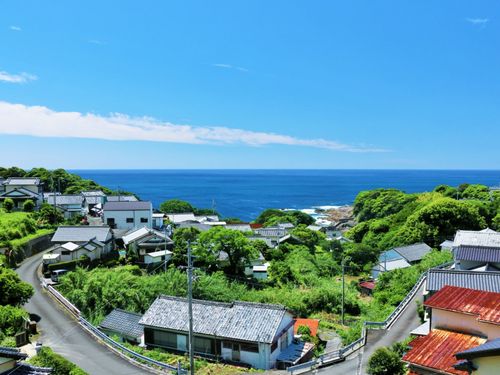 高知県、いかがですか？