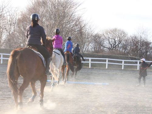 馬との距離が近い町。気軽に乗馬も楽しめます。
