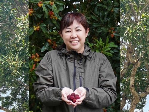口熊野かみとんだ山桃会｜販路開拓パートナー募集