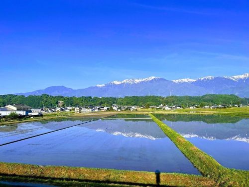 田園風景と中央アルプス
