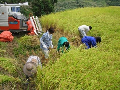 田舎は農業を近くに感じられるので農家さんの苦労がわかります