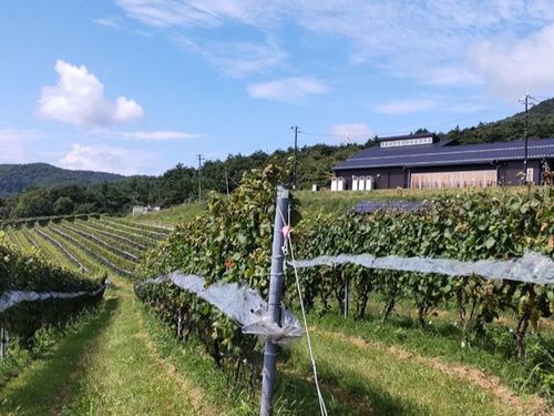 川内村：かわうちワイン株式会社