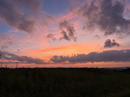 夕陽