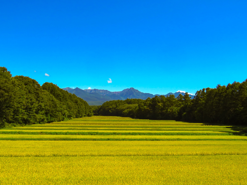 八ヶ岳のふもとでの生活を体感！