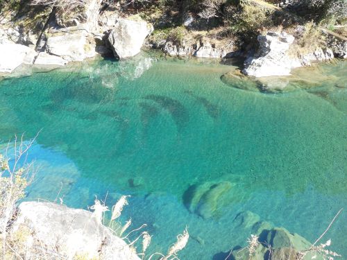 まさに「清流」な、安田川。夏は足を川につけて、涼みながらランチをすることも。