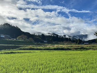 米どころとして、広がるミネアサヒの産地