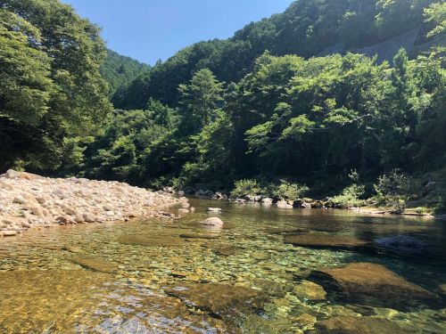 透明度抜群の「大又川」！