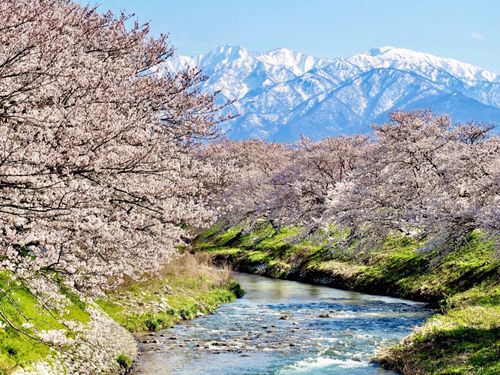 【山】標高3000ｍ級の北アルプス。この大パノラマが日常の通勤路です。