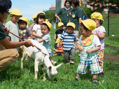 どろんこ保育園｜園庭にはヤギ、焚き火、コンポストなど、自然の摂理が学べます