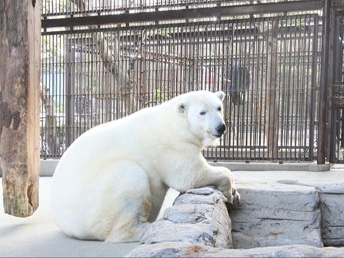 おでかけスポットも充実！※写真は愛媛県立とべ動物園（えひめ移住ネットより）