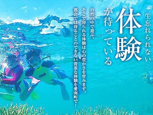 大自然の魅力を 思いっきり体験する