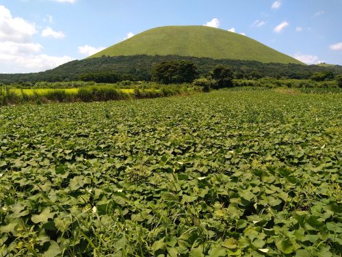 世界遺産にもなっている江上天主堂