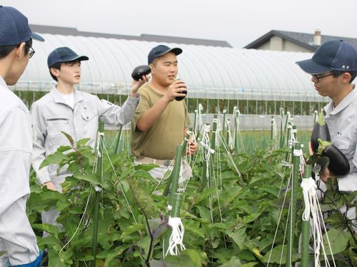高校内の農場での授業