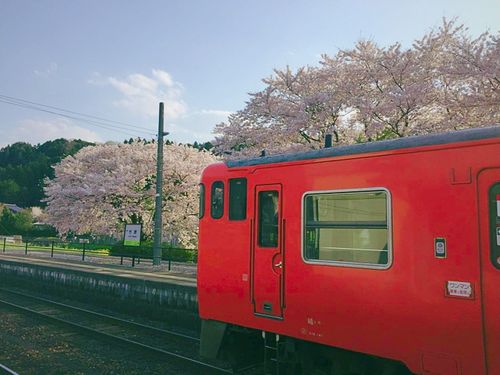 竹野駅に到着する赤い汽車。