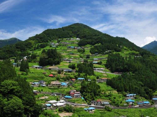 “桃源郷祖谷の山里”。重伝建に指定されている落合集落に8棟の古民家宿を運営。