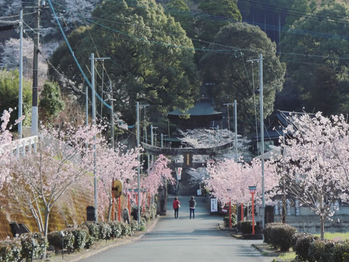季節ごとの景観を楽しみながら歩く
