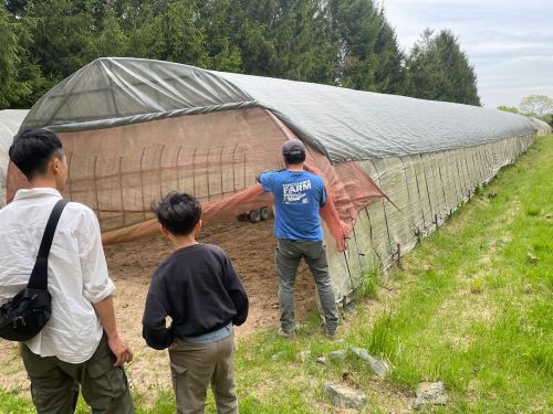 地域の方の畑にお邪魔できるかも