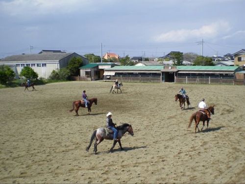 町内では乗馬も楽しむことができ、地域の体験もふるさと納税の返礼品になっています 