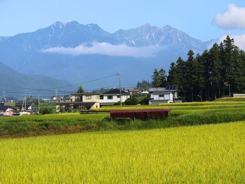 池田町から望む爺ヶ岳と鹿島槍ヶ岳
