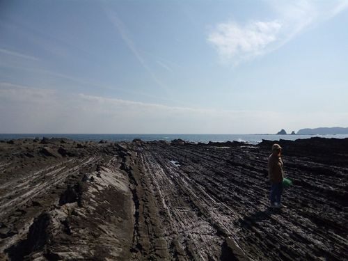 数億年かけて削れた海岸はジオパーク認定の奇岩がバスからも見えます！