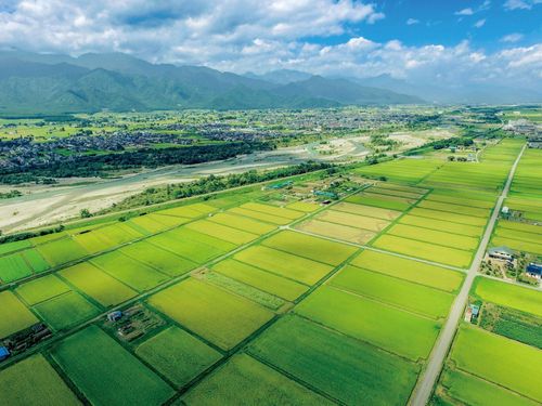 池田町の田園風景