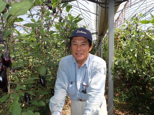 ナス生産農家：高松 伸夫さん（個人農家）