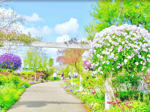四季折々の植物が鑑賞できるイングリッシュガーデン。カフェや式場も併設。