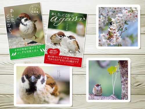 小さなスズメの世界や表情を大きく捉えた『あした、どこかで。』を４作出版