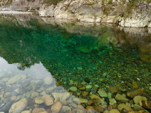 深い川底までクリアに見える透明度！奇跡の清流・銚子川