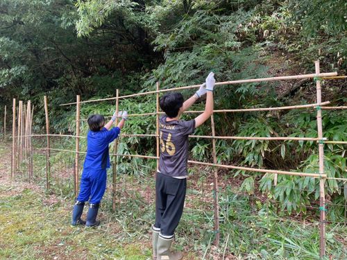 竹林整備＆獣害対策が目的の【竹柵づくり体験】