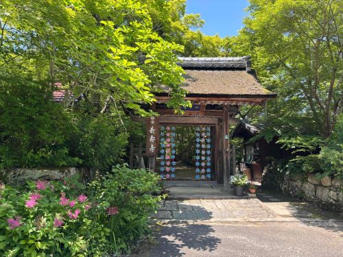 国宝「長寿寺」の青もみじ