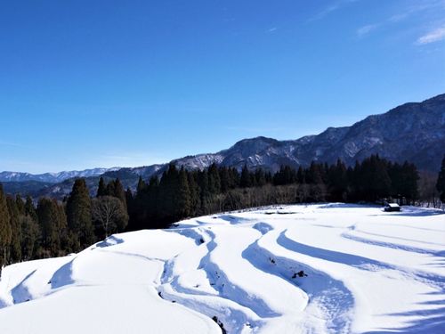 雪の棚田（香美町小代区）