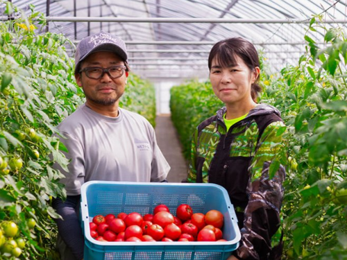 ご夫婦やパートナーと移住し、二人で農業を学べます。