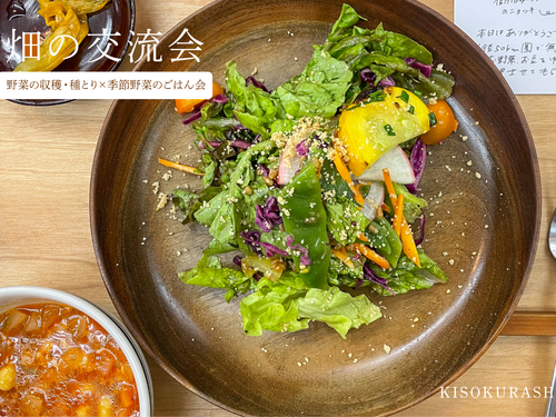 野菜のパワーたっぷりなランチをしながら交流しましょう
