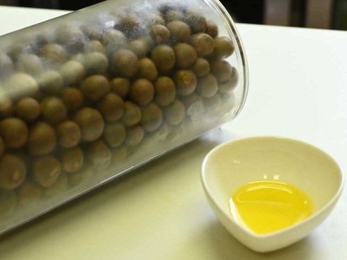 茶の実オイル